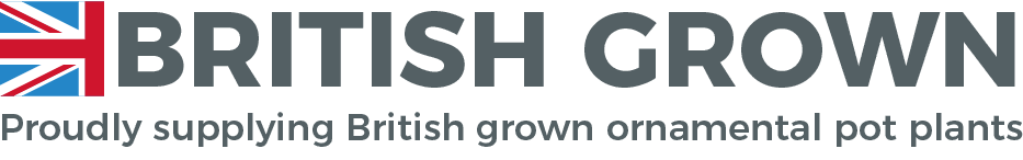 British Grown Tropical Plants British Grown Tropical Plants