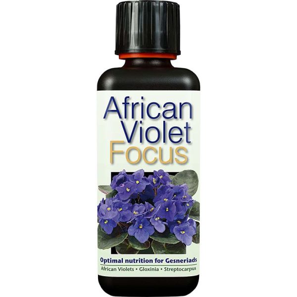 African Violet Focus 300ml