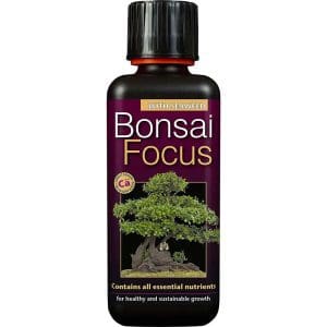 Bonsai Focus 300ml