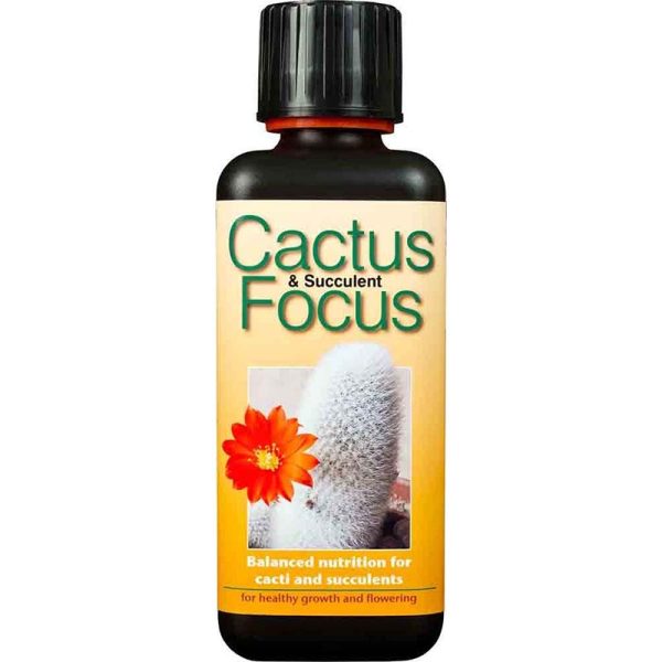 Cactus and Succulent Focus 300ml