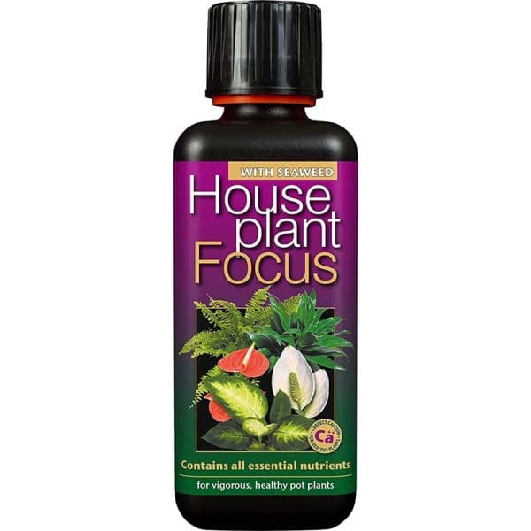 Houseplant Focus 300ml