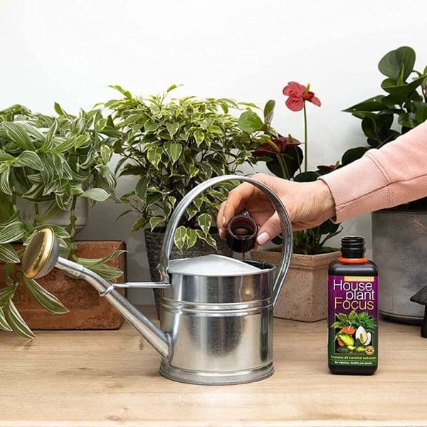 Houseplant Focus 300ml