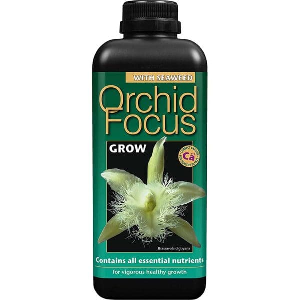 Orchid Focus Grow 300ml