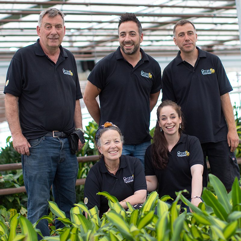 The Opperman And Tropical Plants UK team