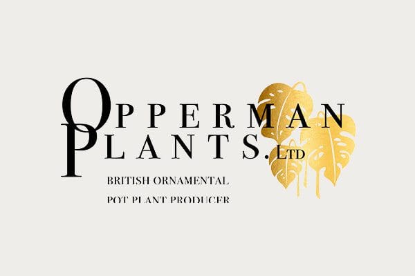 Opperman Plants - RHS Chelsea Flower Show - Tropical Plants UK