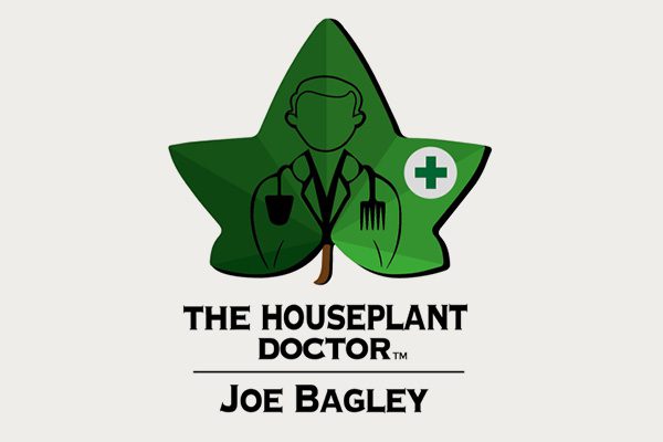 The Houseplant Doctor - RHS Chelsea Flower Show - Tropical Plants UK