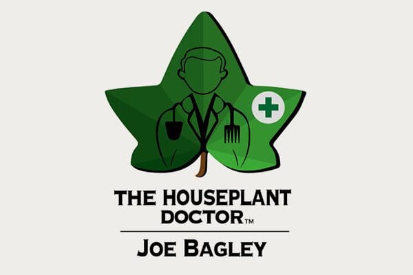 The Houseplant Doctor - RHS Chelsea Flower Show - Tropical Plants UK The Houseplant Doctor - RHS Chelsea Flower Show - Tropical Plants UK