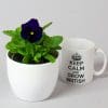 Pansy Mixed | 9 x 10.5cm pots - Image 2