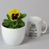 Pansy Mixed | 9 x 10.5cm pots - Image 4